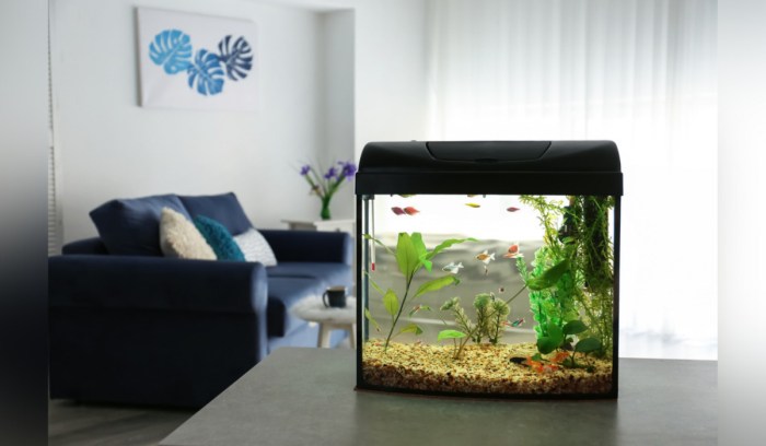 Aquarium im wohnzimmer integrieren