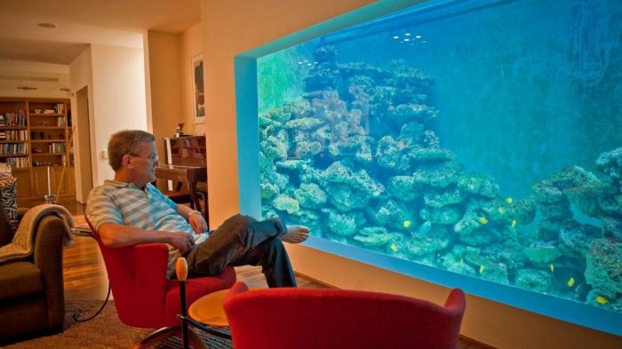 Aquarium im wohnzimmer integrieren