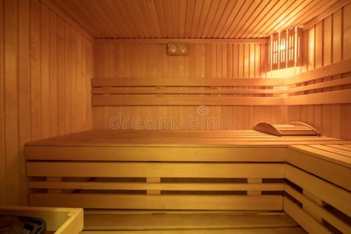 Sauna im wohnzimmer integrieren